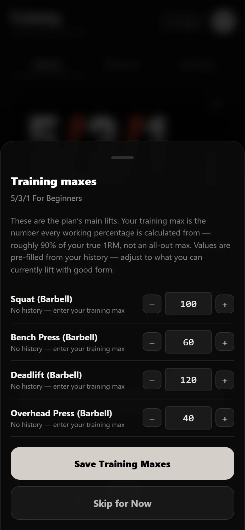 The training-max sheet in Durata with squat 100 kg, bench 60 kg, deadlift 120 kg and overhead press 40 kg entered