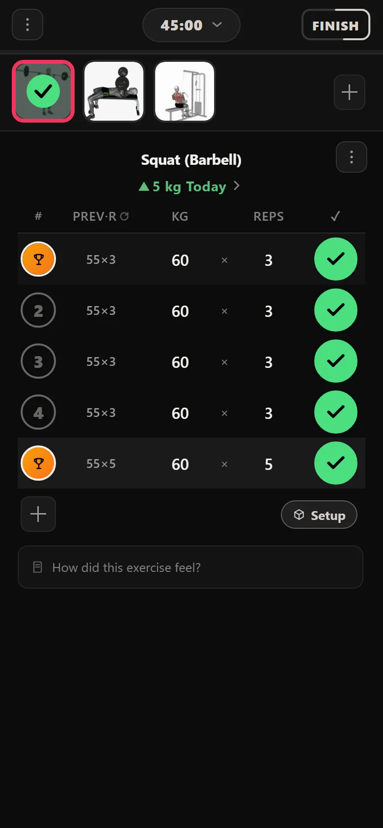 GZCLP T1 squat climbing in 5 kg steps in Durata, now at 60 kg