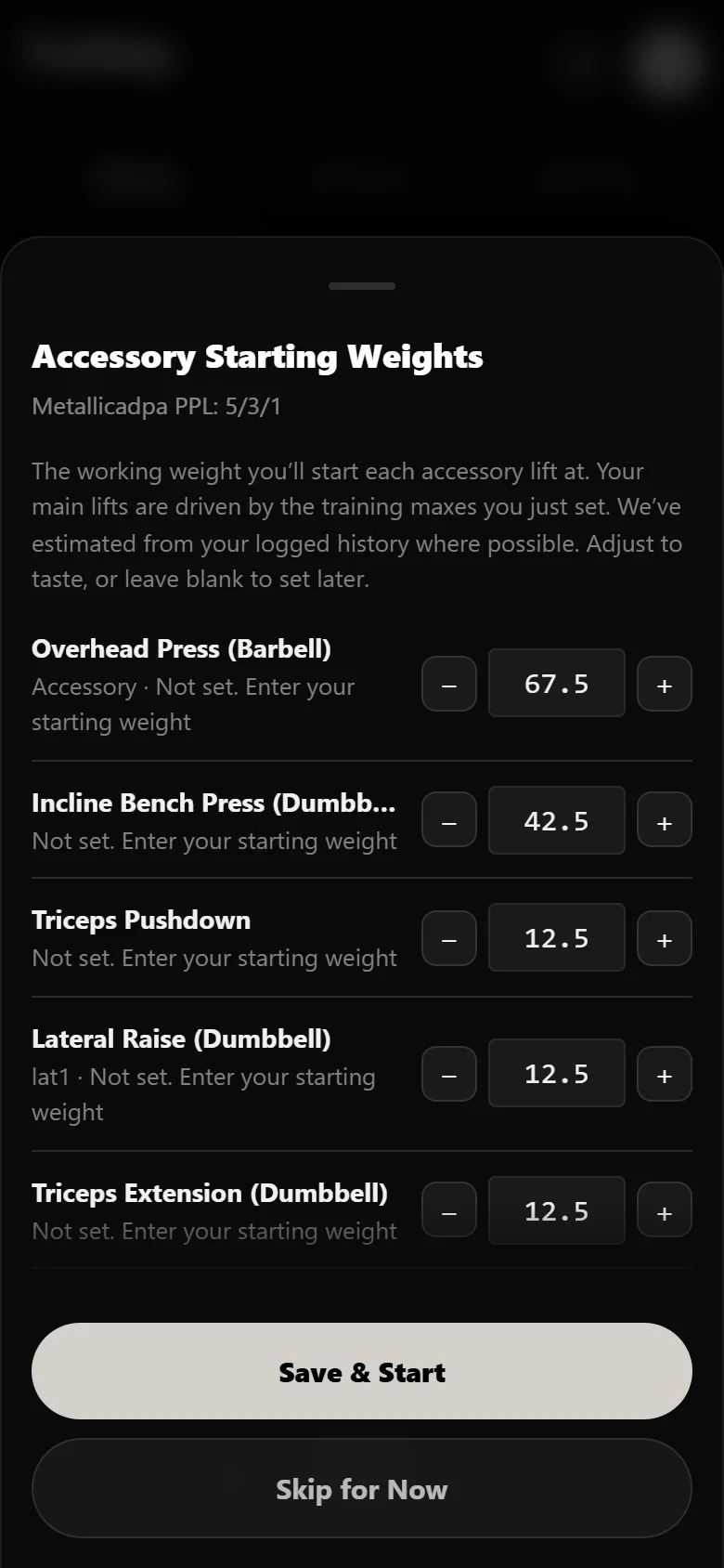 Setting accessory working weights for Metallicadpa PPL 5/3/1 in Durata