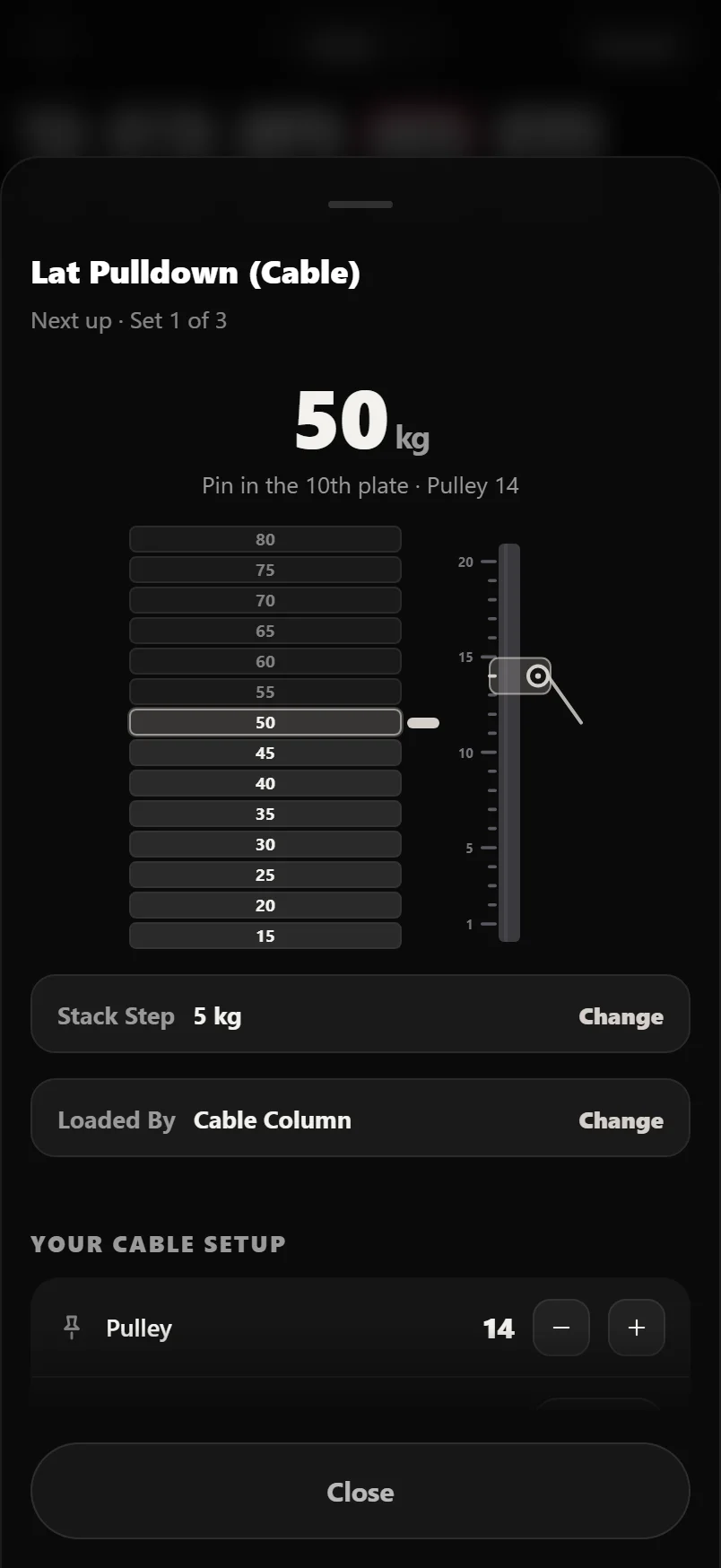 The Set Up sheet for a cable lat pulldown, drawing the pin stack beside a numbered pulley column with the carriage at notch 14, above Pulley and Numbered From rows